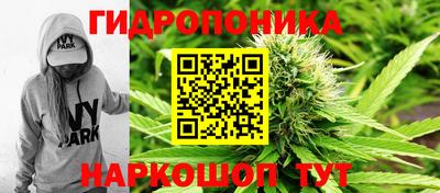 стаф Пенза