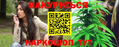 стаф Пенза