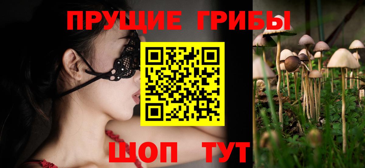 Чехов  Псилоцибиновые грибы Magic Shrooms  Вход с VPN  Галлюциногенные грибы Magic Shrooms 